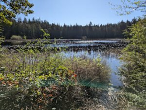 Gazzam Lake Nature Preserve